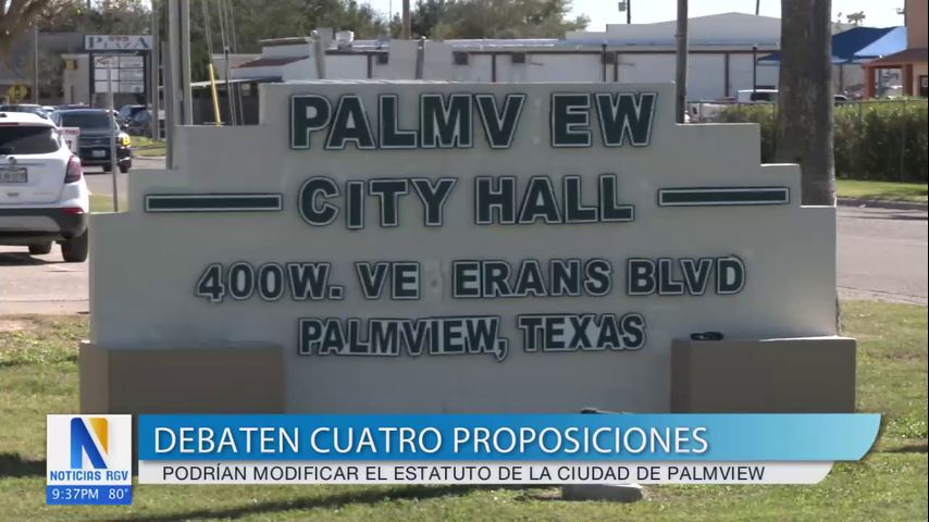 Propuestas para los votantes en Palmview