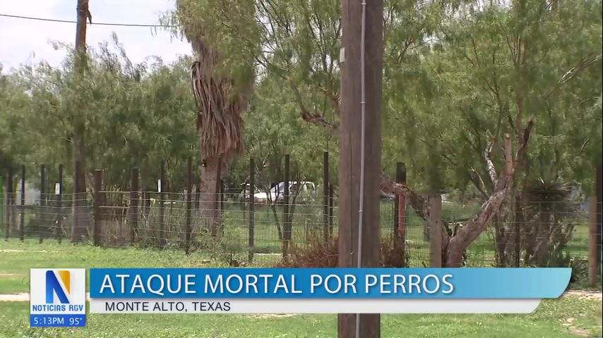 35 perros encontrados en propiedad de víctima de ataque animal en Monte Alto
