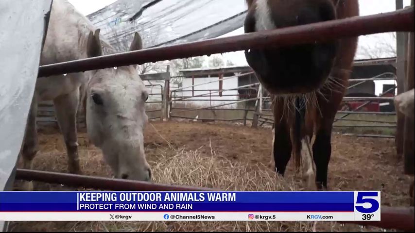 Ranchers working to keep livestock warm during winter storm warning