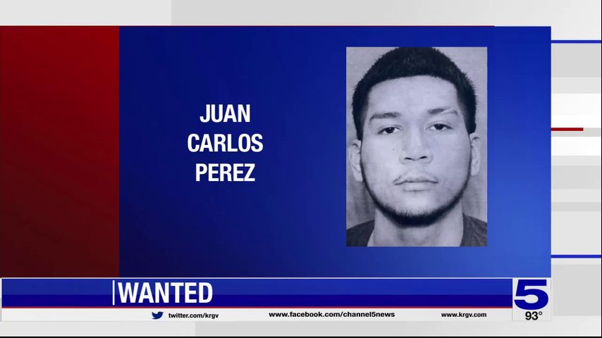 La Joya police searching for man accused of attempted carjacking, evading police