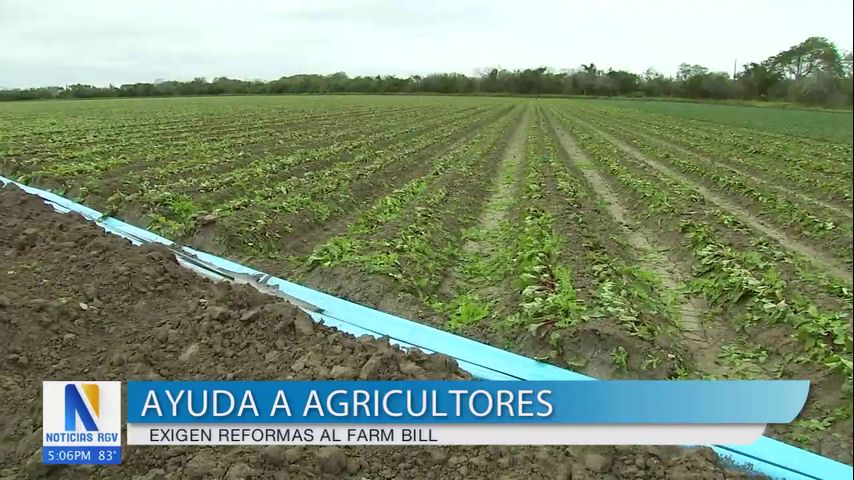 Agricultores del Valle insatisfechos con los fondos de emergencia del Farm Bill