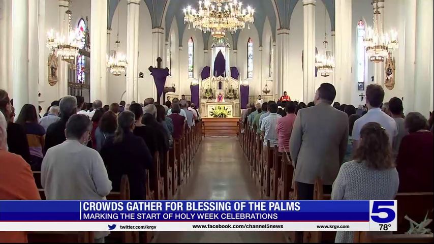 Crowds gather for Blessing of the Palms as Holy Week celebrations begin