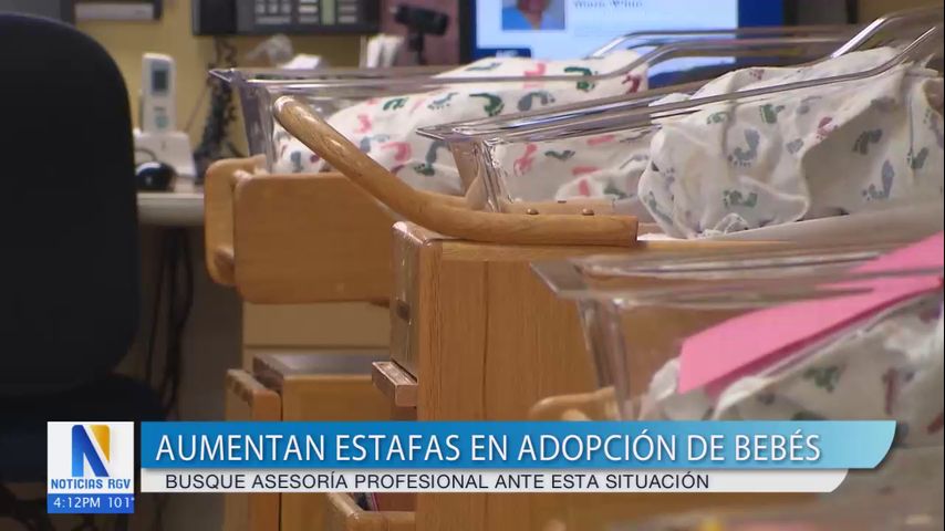 Organización nacional advierte sobre estafas de adopción de bebés