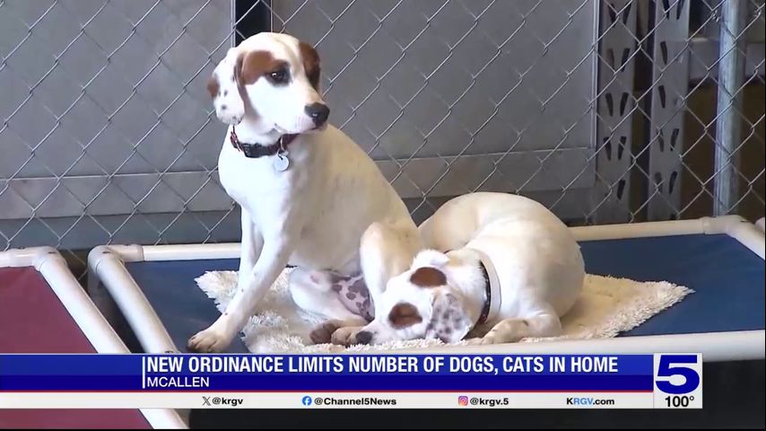 New ordinance limits amount of pets in McAllen homes