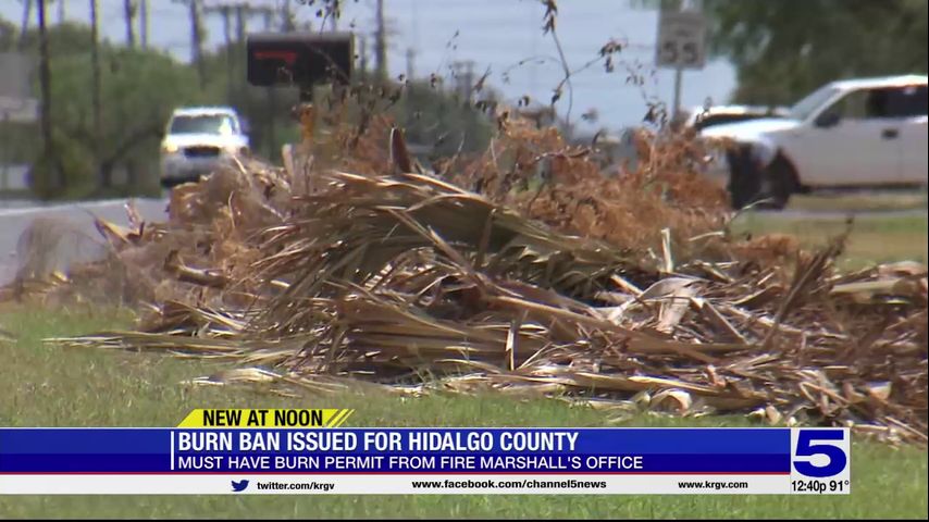 Burn ban issued in Hidalgo County