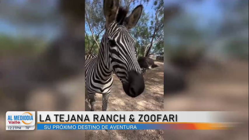 Mercedes invita a la comunidad a disfrutar de un safari familiar