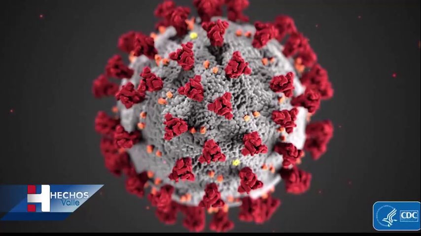 Condado Willacy anuncia 3 casos más de coronavirus