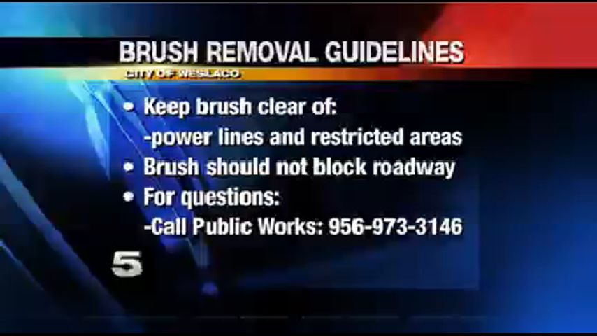 City Officials Asking Residents to Follow Brush Removal Guidelines