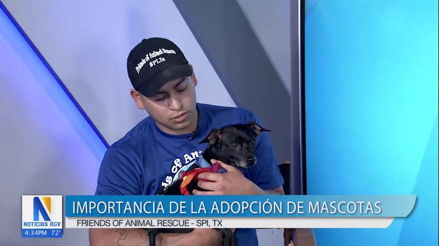 La Entrevista: Importancia de la adopción de mascotas