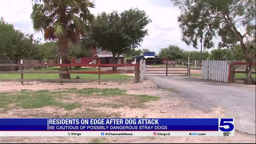 Monte Alto resident on edge following deadly dog attack