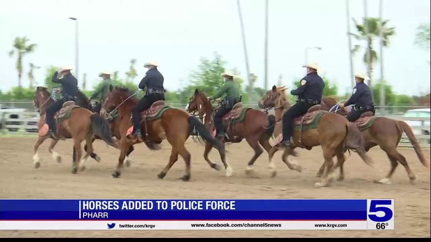 Pharr Police Department adds horses to the force