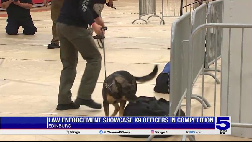 Law enforcement showcase K9 officers in Edinburg competition