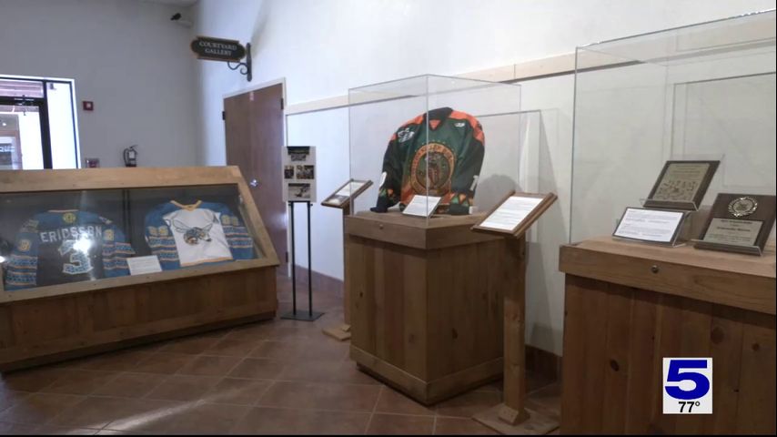 RGV Killer Bees exhibit on display at The Museum of South Texas History