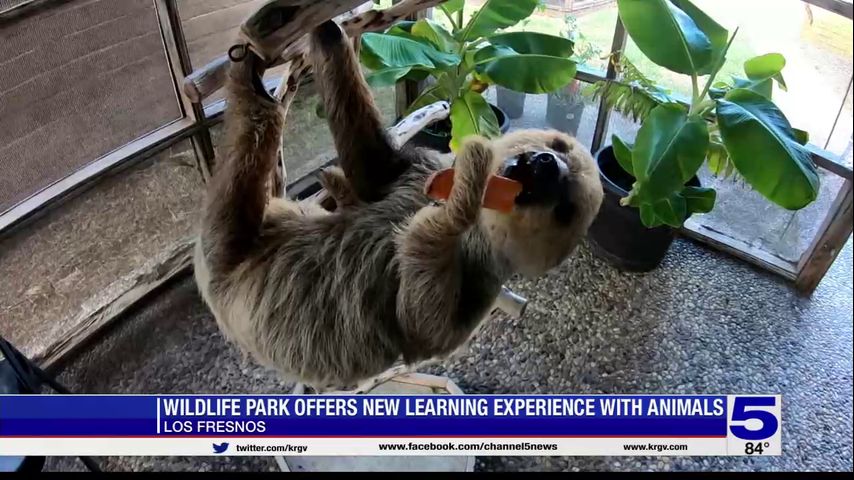 Los Fresnos wildlife park offers new learning experience with animals