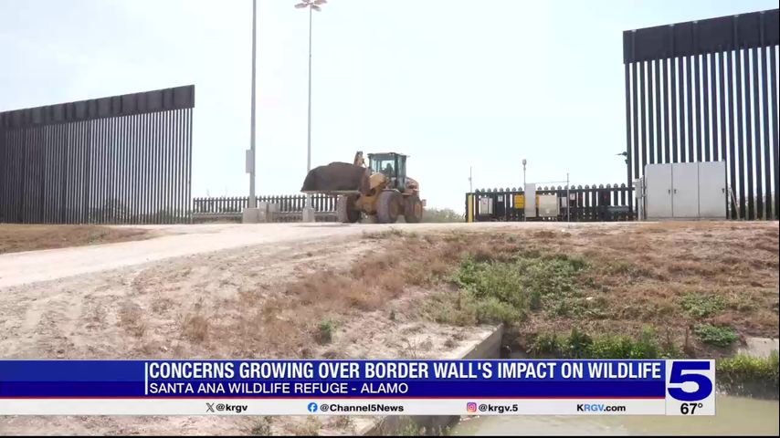Concerns grow over border wall impact on wildlife refuge in Alamo
