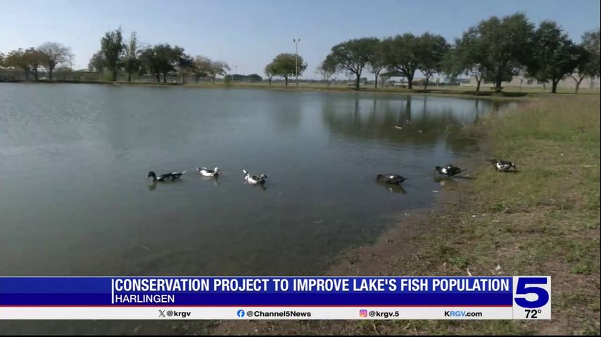 Harlingen working to revive lake at local park