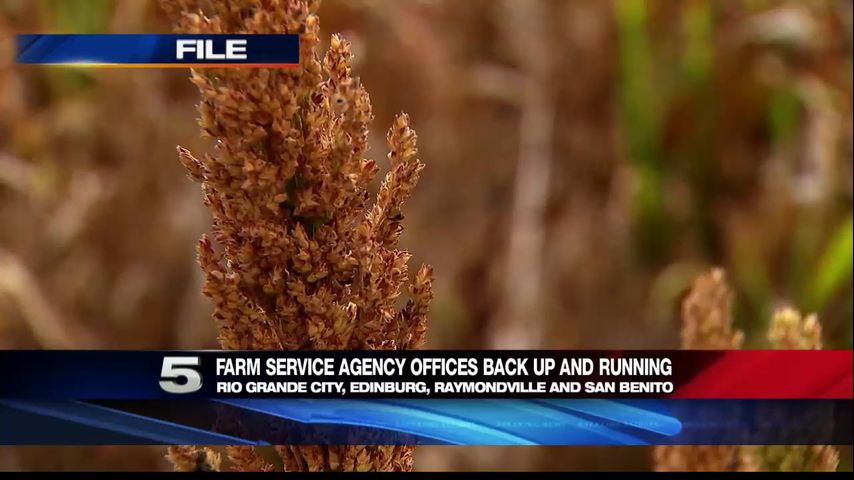 Farm Service Agency Reopens as Gov’t Shutdown Comes to an End