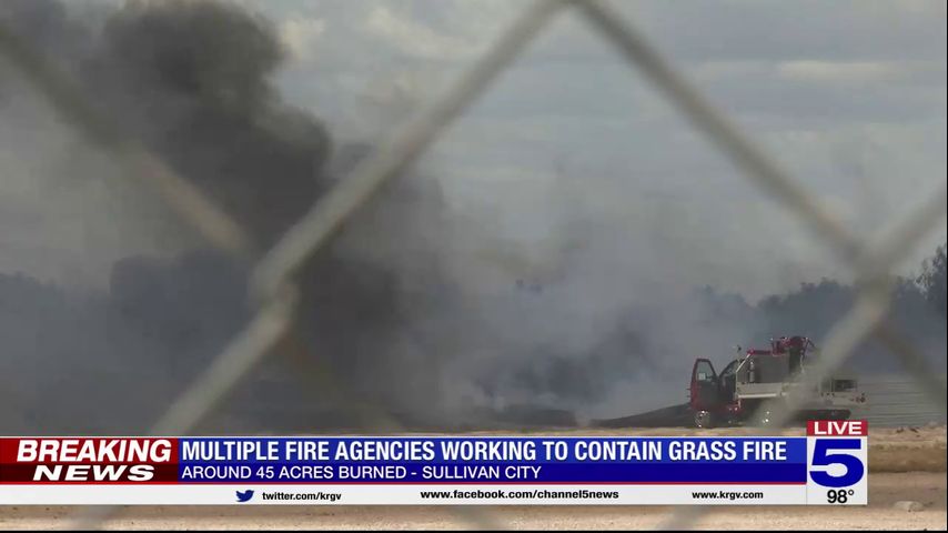 Grass fire at Hidalgo and Starr county line nearly contained