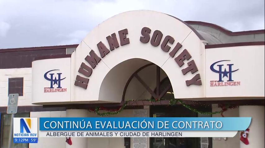 Harlingen prepara nuevo contrató para el albergue de animales