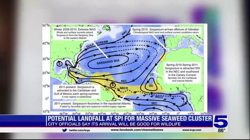 NOAA data shows part of sargassum cluster will reach SPI