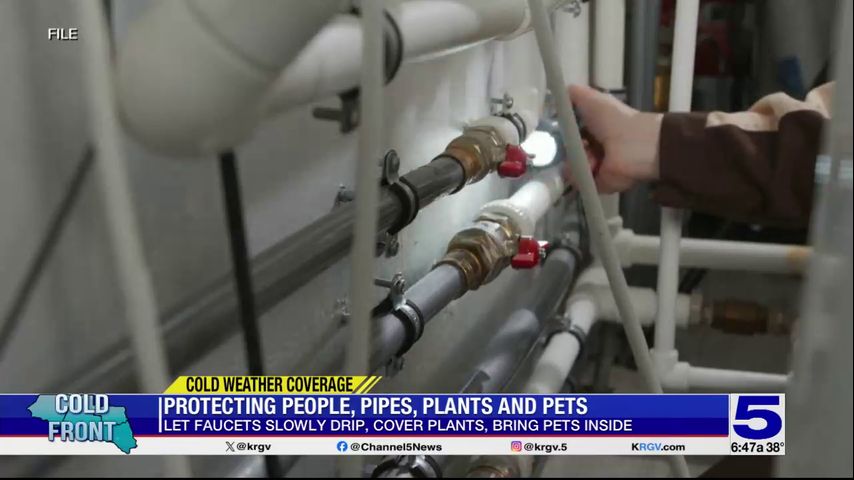 How to protect people, pipes, plants and pets during cold weather in the Valley