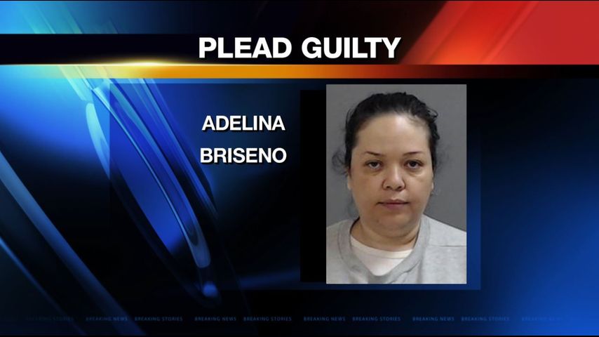 Construction Business Owner Pleads Guilty to Theft Charges