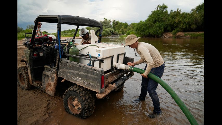 A race to save fish as Rio Grande dries, even in Albuquerque - Vimarsana News