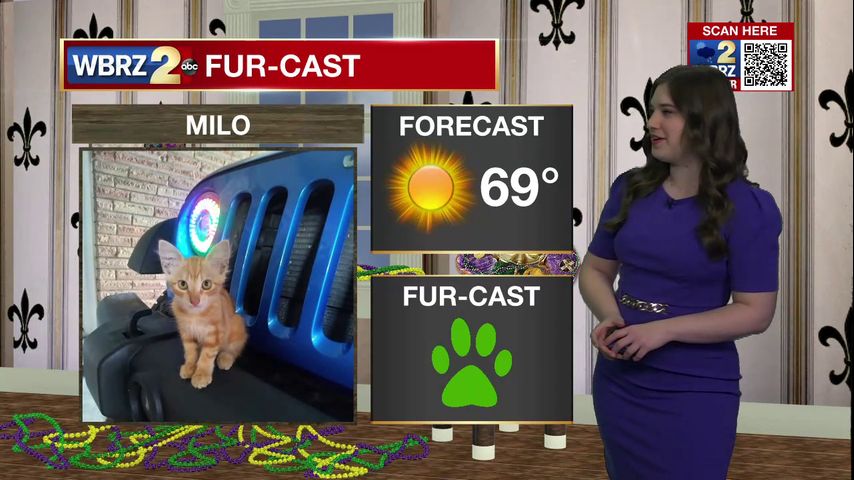 Milo Fur-cast