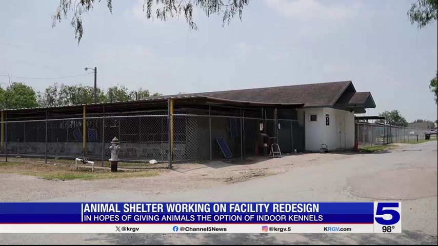 Palm Valley Animal Society shelter improvement project in the works